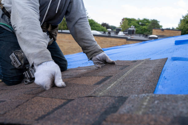 Best Sealant for Roof  in Marshall, MI