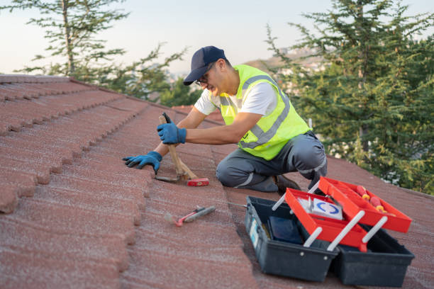 Best Roof Repair Services  in Marshall, MI