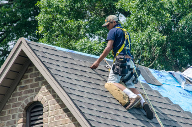 Roof Gutter Cleaning in Marshall, MI